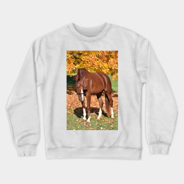 Chestnut Mare Crewneck Sweatshirt by theartsyeq